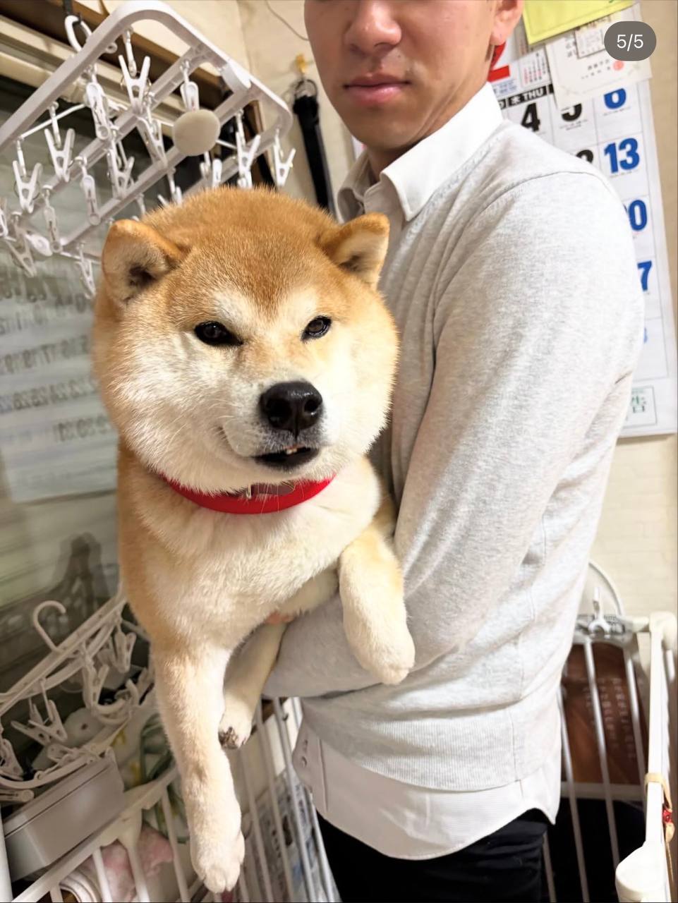 Korosuke in loving arms